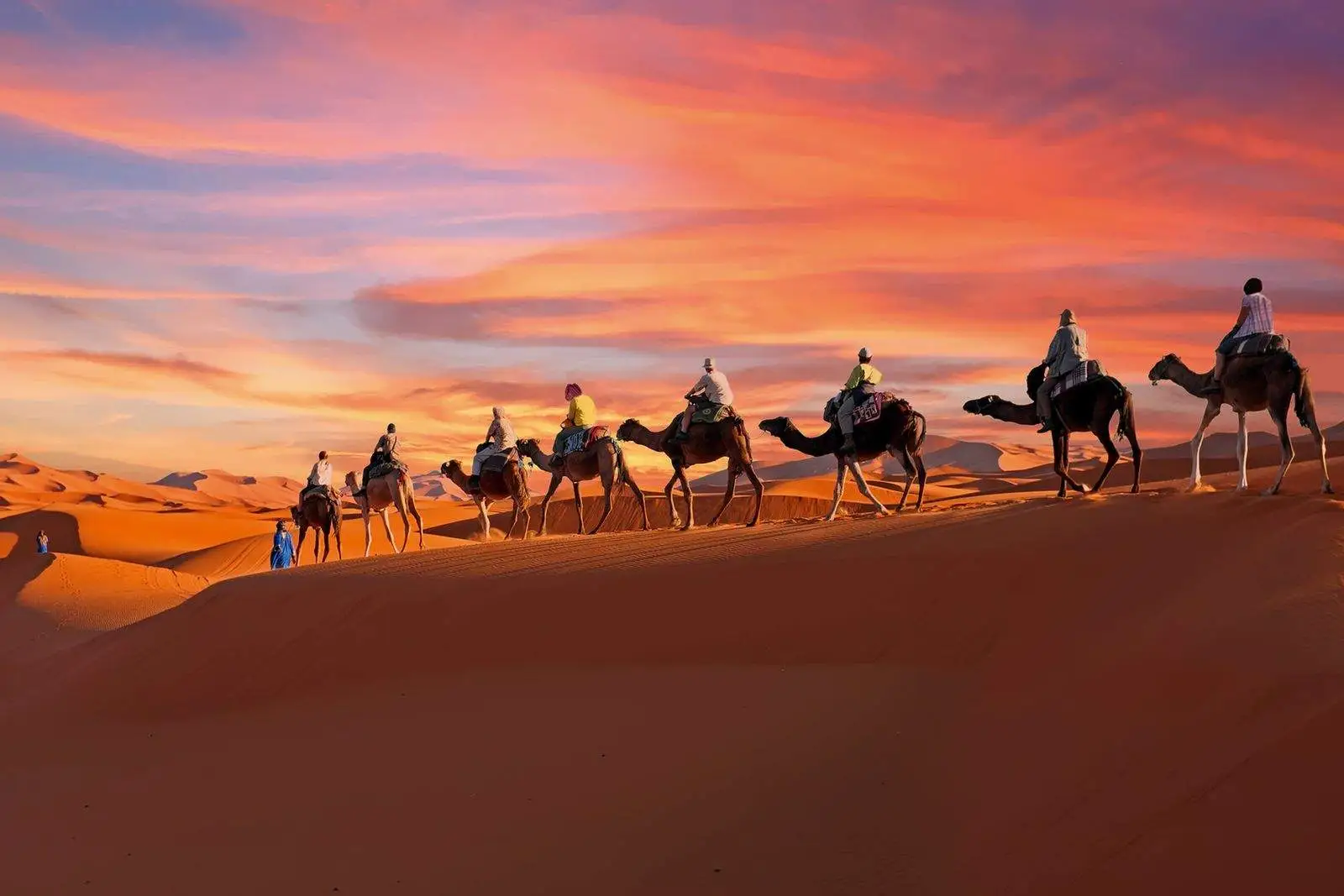 Camel trek at sunset in the Merzouga dunes, Morocco
