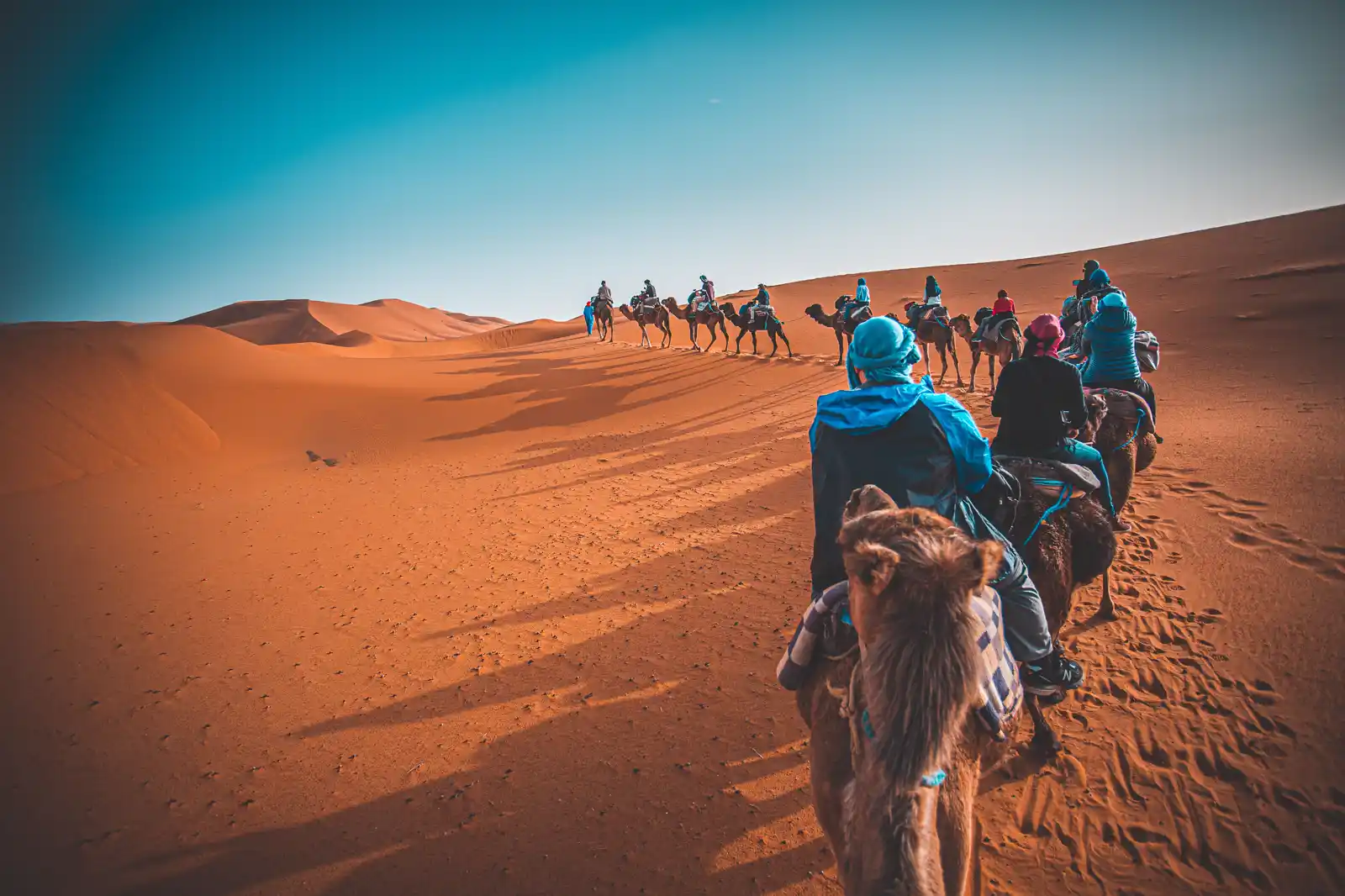Line of travelers riding camels in a caravan across the orange Sahara dunes near Merzouga, Morocco