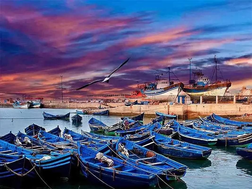 Blue fishing boats in the Essaouira port