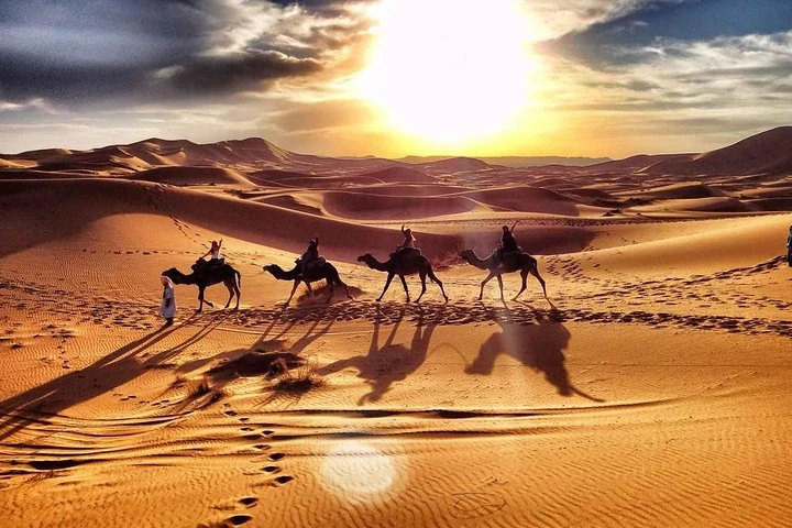 Camel trek heading into the bright desert sun near Zagora