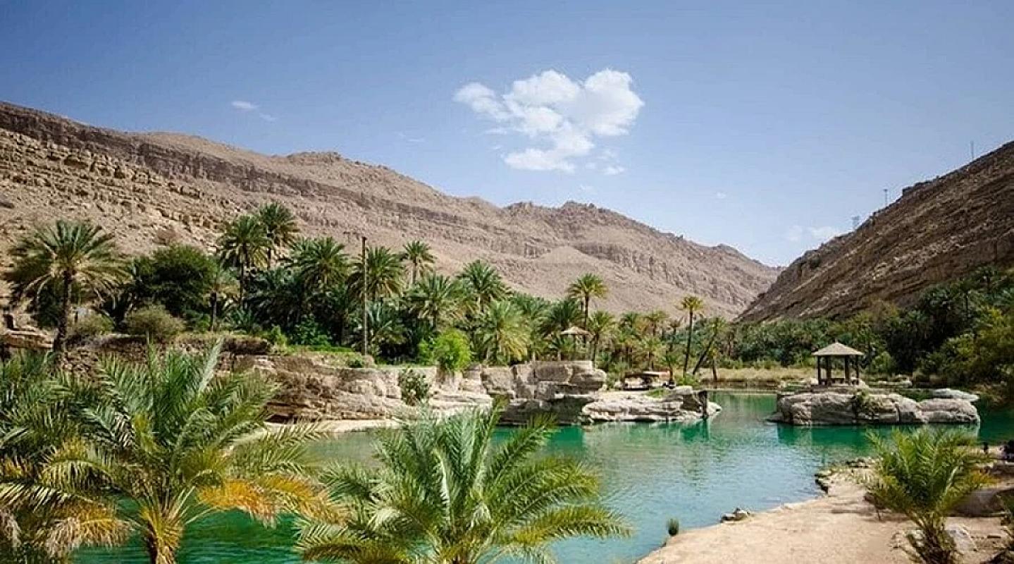 Palm oasis with calm pools in the Draa valley