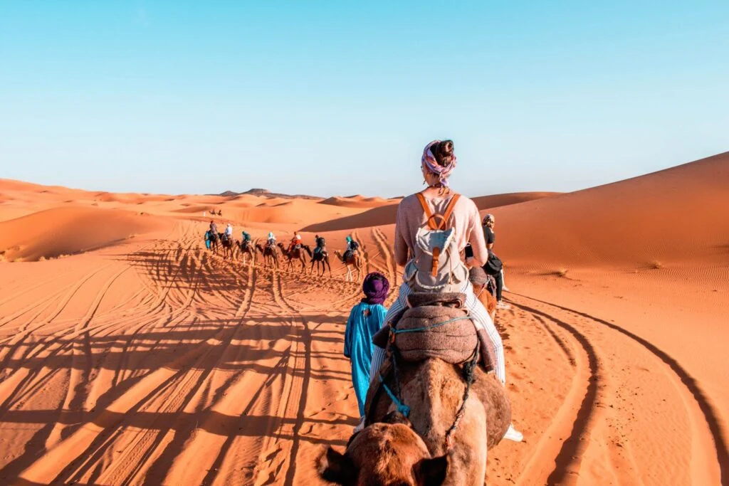 Visitors riding camels in single file across Erg Chebbi
