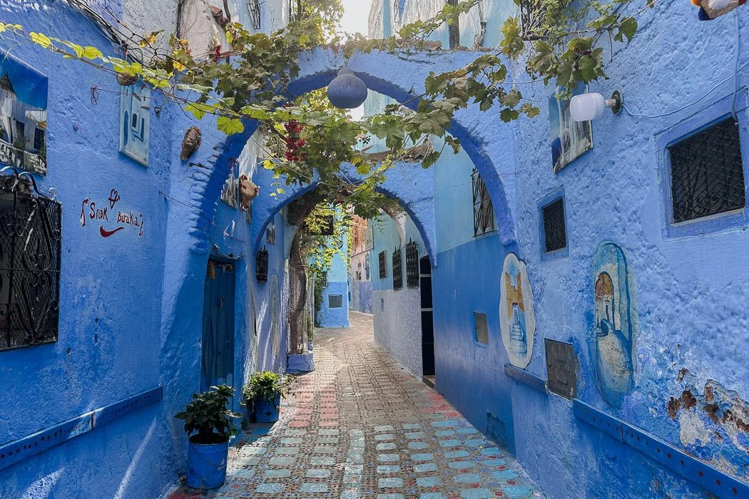 Vine-covered blue archway in a Chefchaouen medina alley
