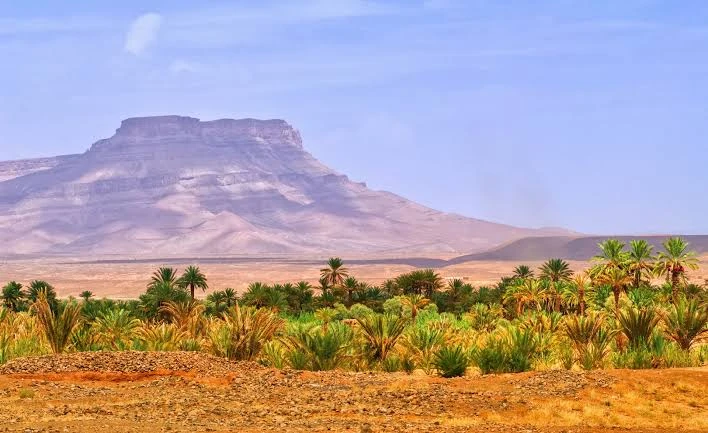 Draa valley palm grove beneath the flat-topped Jbel Kissane