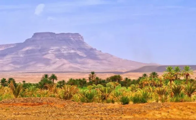 Draa valley palm grove beneath the flat-topped Jbel Kissane