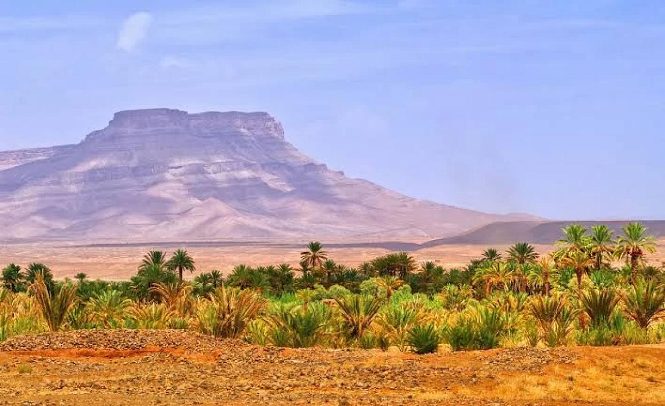Draa valley palm grove beneath the flat-topped Jbel Kissane