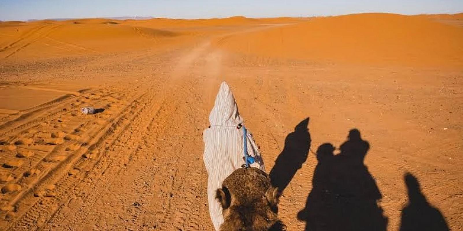 Rider's view of camels casting long shadows on the Zagora track