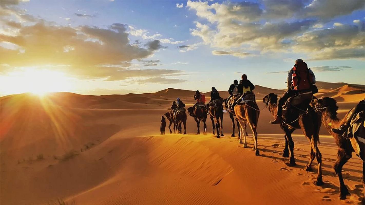 Camel caravan riding towards the setting Sahara sun