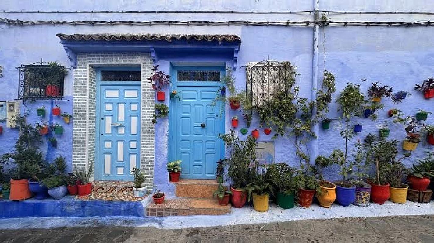 Blue doors and colourful flower pots on a Chefchaouen wall