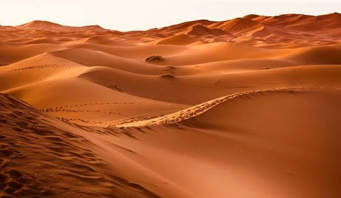 Rippled sand dunes of Erg Chebbi in low golden light