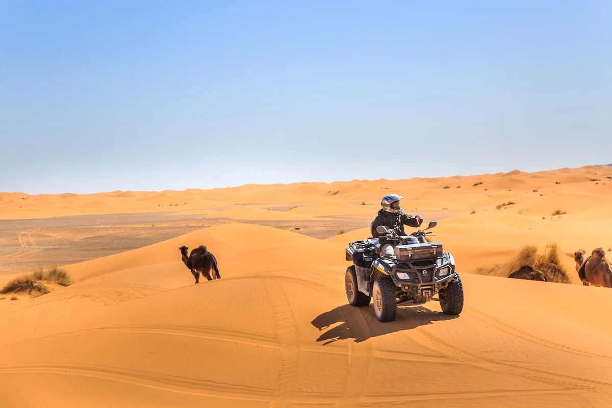 Quad bike crossing the Merzouga dunes with camels nearby