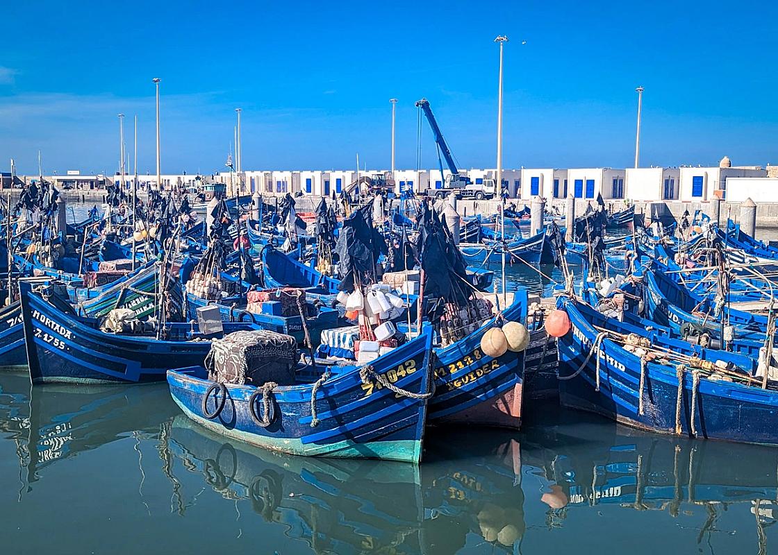 Blue wooden fishing boats crowded in the Essaouira port