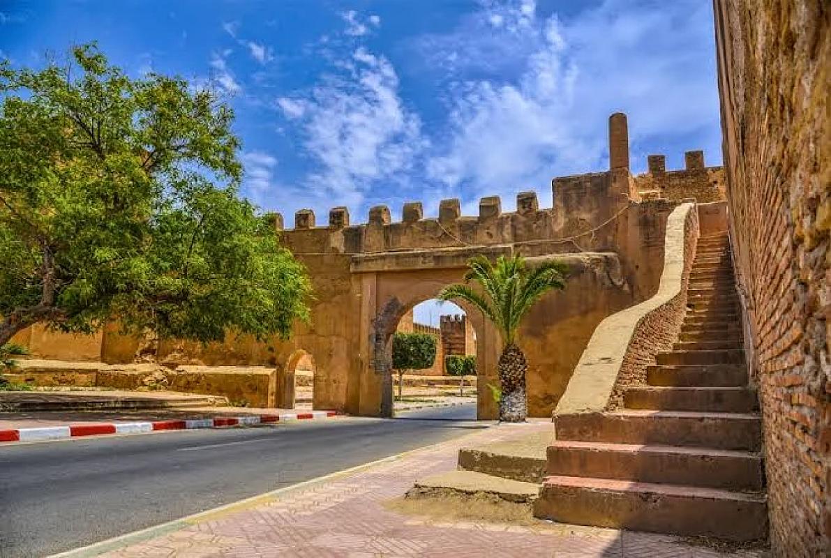 Historic ramparts and gate of Taroudant with palm trees
