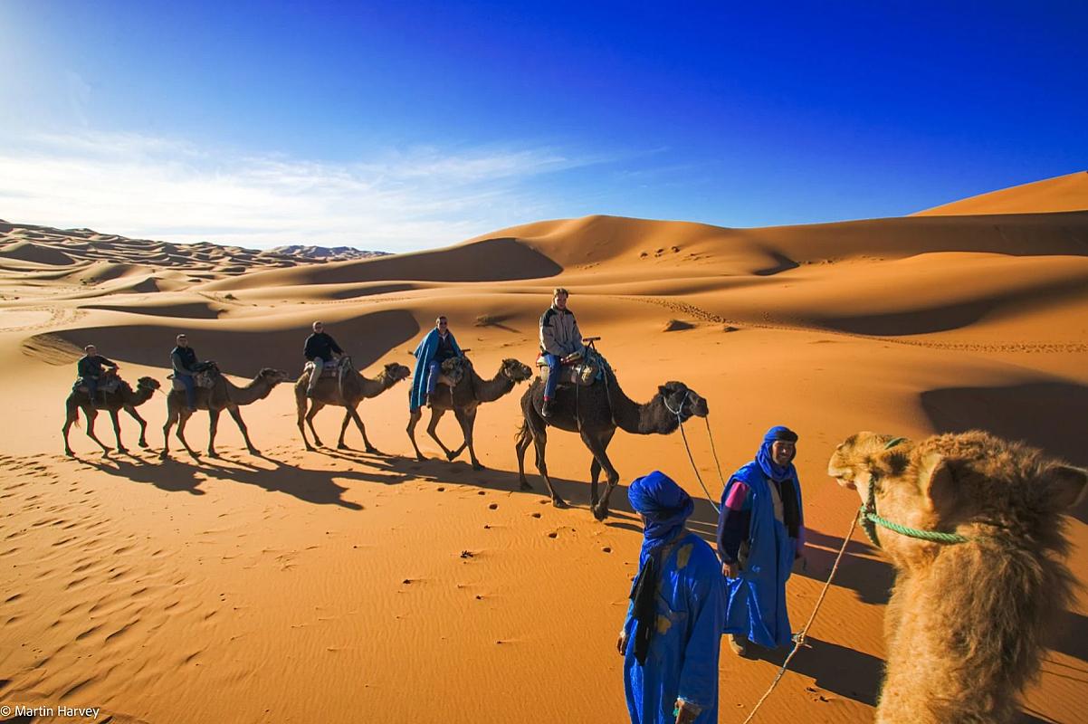 Blue-robed guides leading a camel caravan over Erg Chebbi dunes