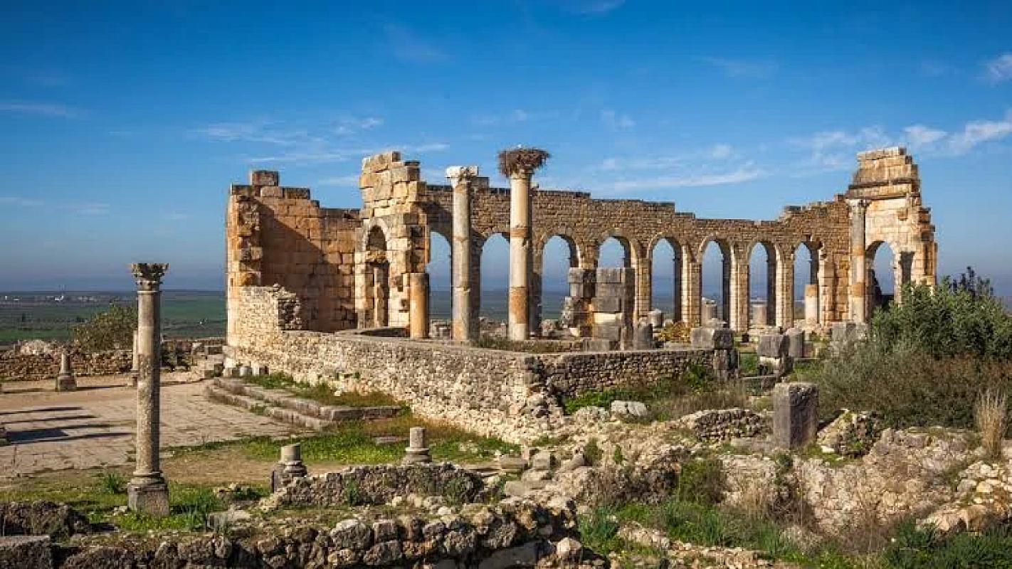 Stone columns of the Roman basilica at Volubilis