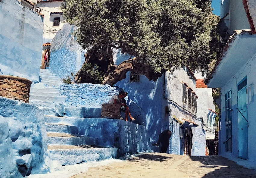 Sunlit blue street beneath an old olive tree in Chefchaouen