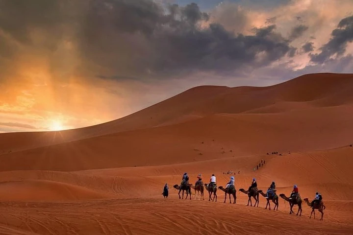 Camel caravan crossing the Erg Chebbi dunes at sunset
