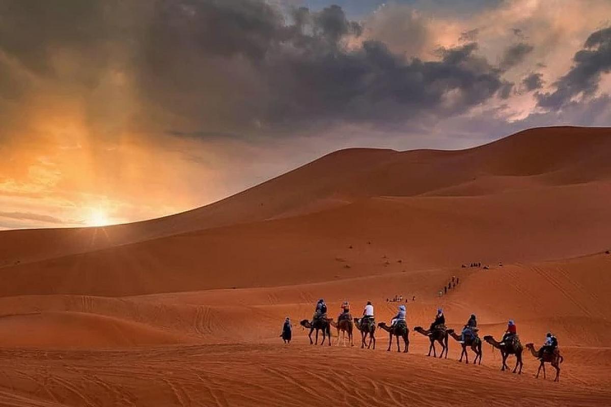 Camel caravan crossing the Erg Chebbi dunes at sunset