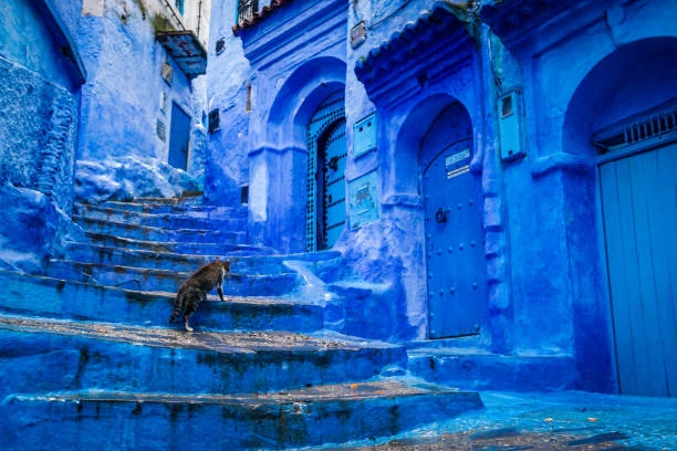 Blue-painted stairway and doorways in the Chefchaouen medina