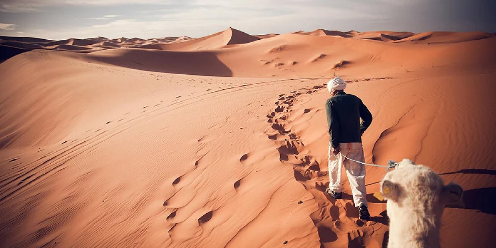 Camel guide on the Zagora dunes