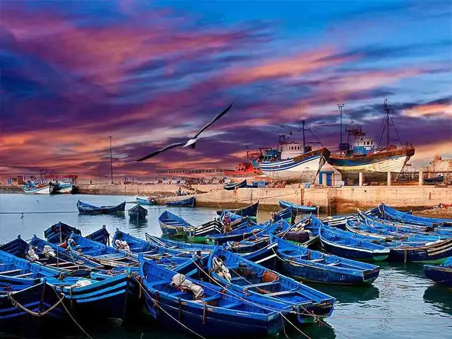 Blue fishing boats in the port of Essaouira